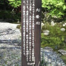 大堰川の河原に立てられている解説です。名前の由来等があります