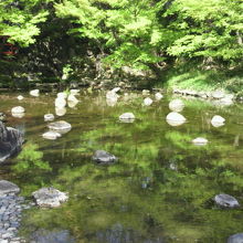 大堰川の水面に点在する数多くの岩です。水面に映えています。