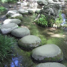 大堰川の沢渡りの飛び石群です。大堰川の中流部にあります。