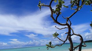 コンドイビーチ