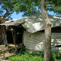 まずはここでオーダーを