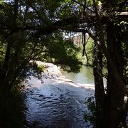 緑と水があふれるセドナのオアシス