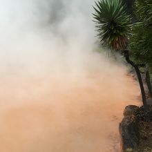 どうにか湯気がのいてくれた・・・