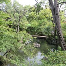 池に架かる橋が美しい