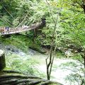 雨の後はとってもスリル満点…！