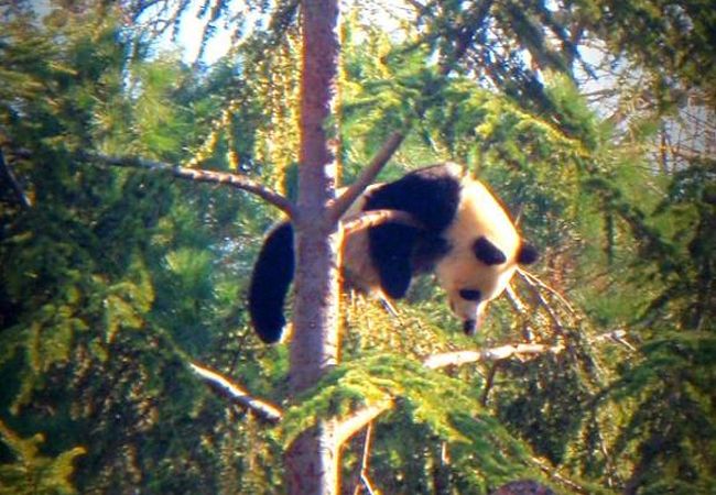 マドリード動物園