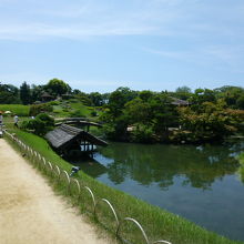 井田は沢の池の前にあります