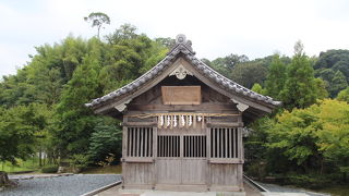 水が張られていませんでした