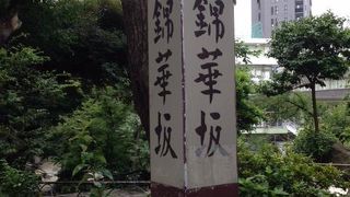 何となくアカデミックな雰囲気が漂っています。