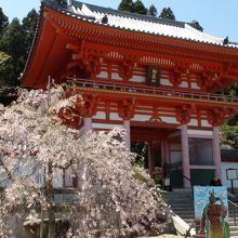 朱の門と桜が似合う清水寺
