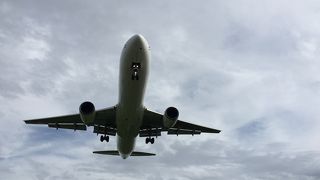 頭上を飛行機が！