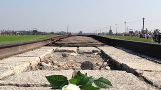 「アウシュビッツ」だけでなくこちらも忘れないで欲しい