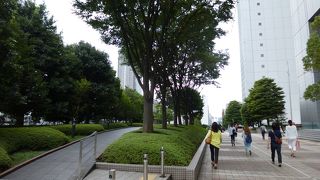 バスタ新宿効果！？