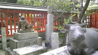 福岡の街の真ん中にあります