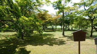 秋はここ千入の森で紅葉を楽しみましょう！