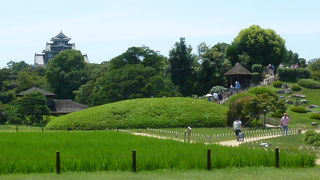 後楽園が一望できます！