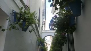 細い道の両脇の家々が吊り下げた花壇が綺麗でした