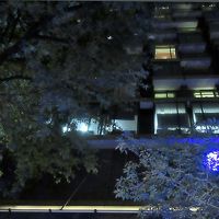 写真では分かり辛いですが、窓や空間に特徴のあるホテルです