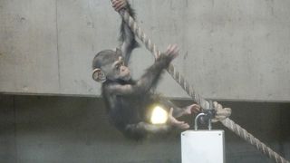 年賀状用の写真を撮ろうと思ったがうまく撮れなかった