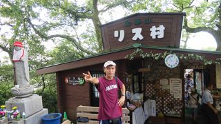 山の上のリス村