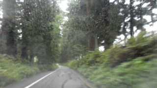 今は杉の保護のため立ち入り禁止の区間もあります。