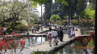 林養魚場ますつり公園