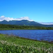 遊歩道が２ヵ所あります