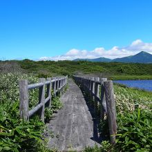 悲恋沼周りの遊歩道