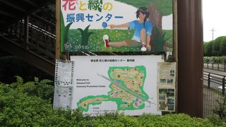 いろんな植木があります。