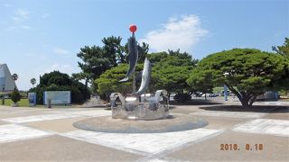 イルカショーは最高