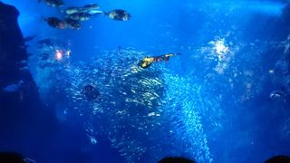 意外と小さいけど楽しめます