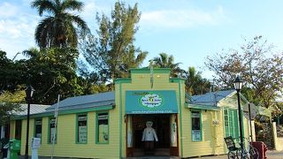 キーウェストに似合う爽やかなライムパイ