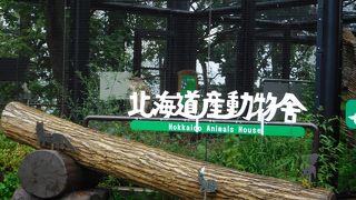 北海道の動物達がたくさん見れます