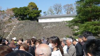 富士見多聞櫓・蓮池濠方面から見ると全景が見れます