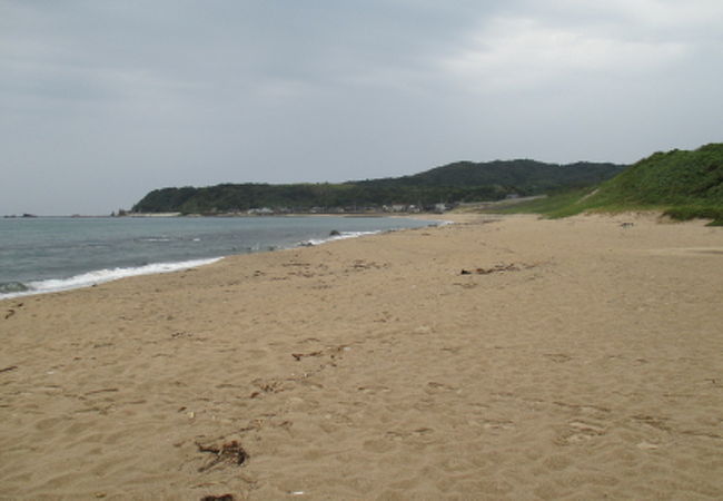 琴ヶ浜 泣き砂の浜 クチコミ アクセス 営業時間 輪島 フォートラベル