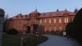 早朝散歩しました