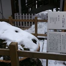 境内のさざれ石
