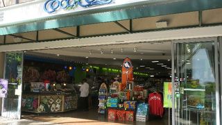 バラエティ豊か