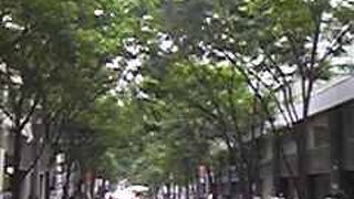 日曜日も、賑わっています