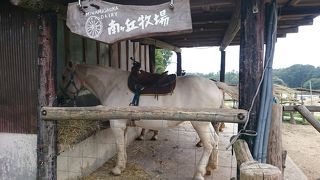 入園料無料！とりあえず、二日目の朝に