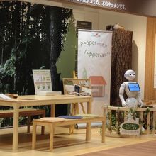 家具屋さんにペッパーくんがいました