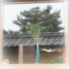 栗の小径沿いにある窓にうつった風景