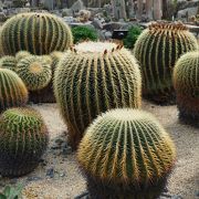 ときわ公園の中心施設