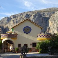 裏側から　建物の奥が駅