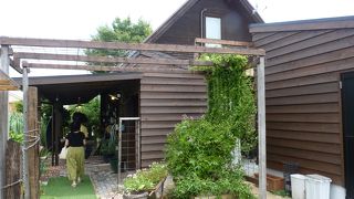 いろんなピザメニューが揃う店