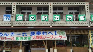 地産の野菜やフルーツが豊富に置いてあります