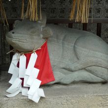 かわいらしいお顔