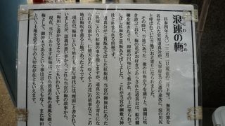 梅の木は元気がなかった