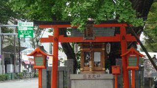 初めて見たらびっくりすると思います