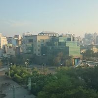 部屋から見下ろす公園